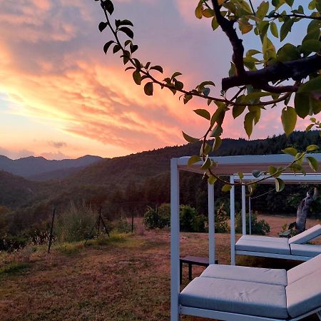 Villa Giuliana B&B Scarperia Kültér fotó