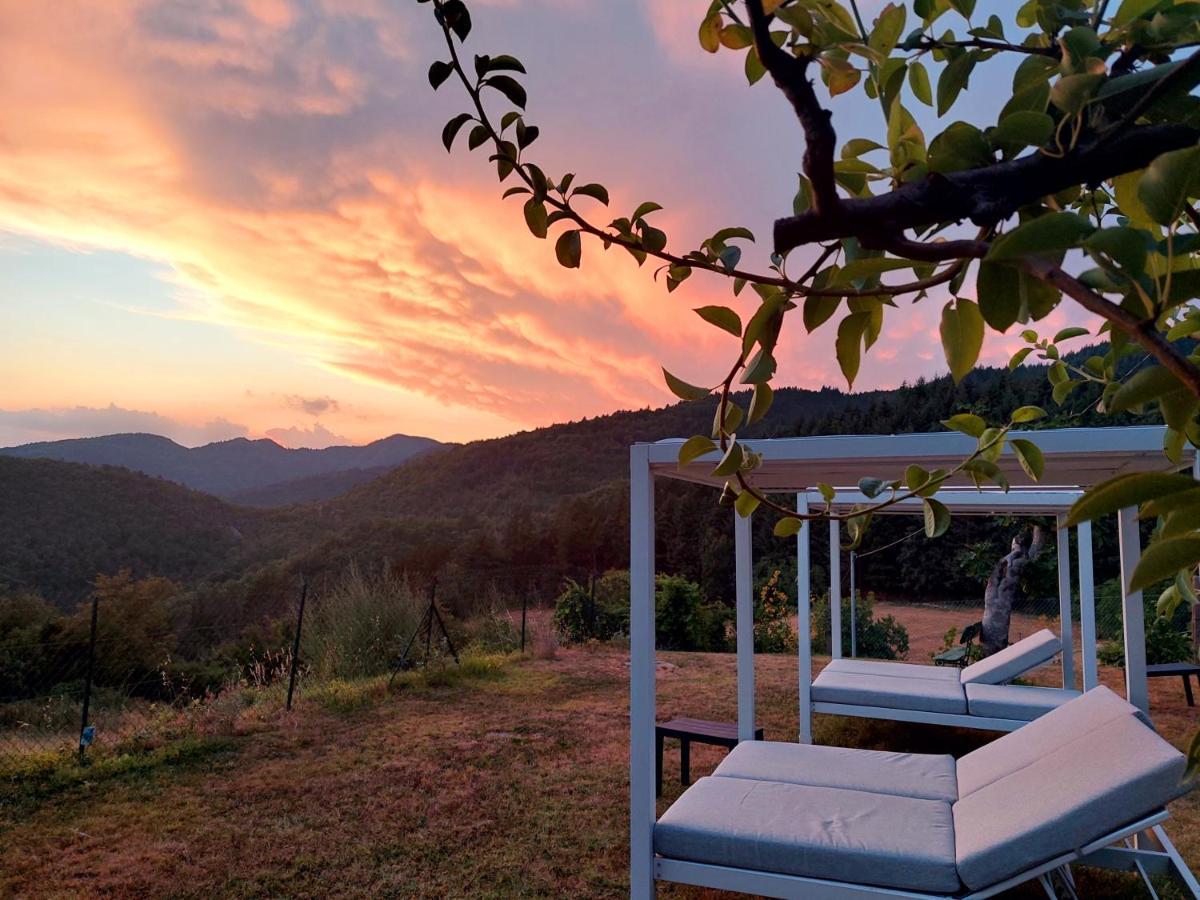 Villa Giuliana B&B Scarperia Kültér fotó