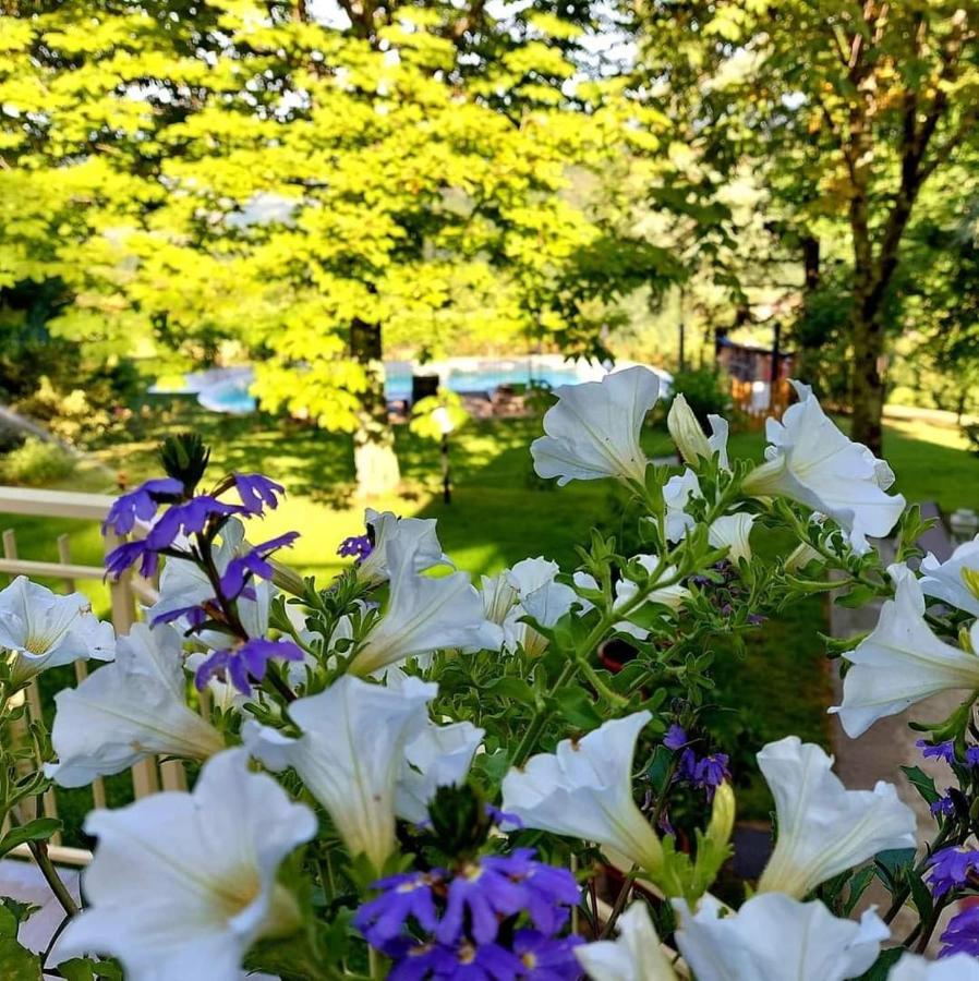 Villa Giuliana B&B Scarperia Kültér fotó